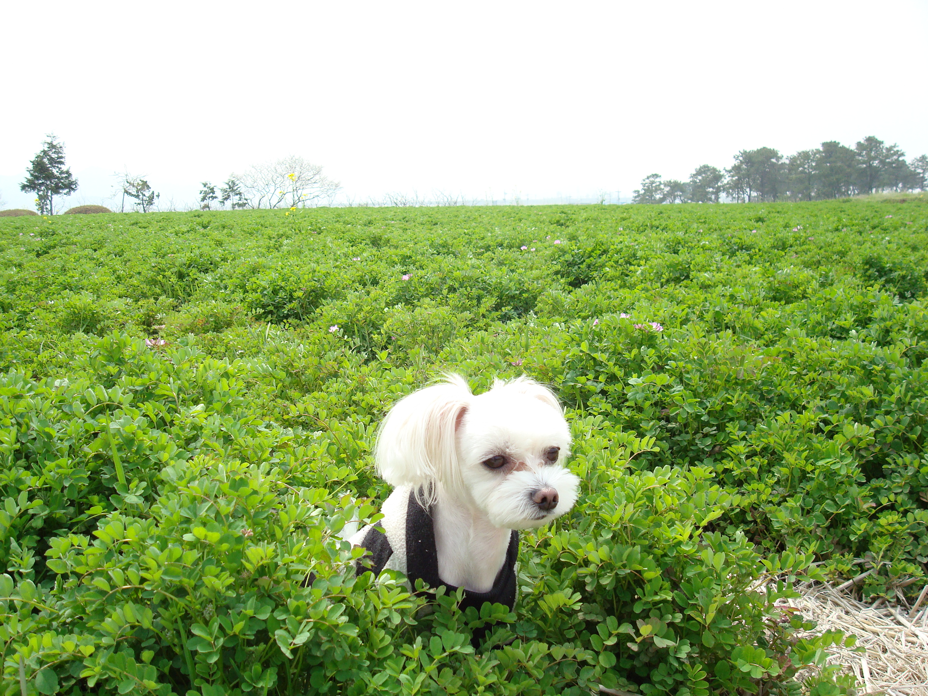 ����ũ��� ����