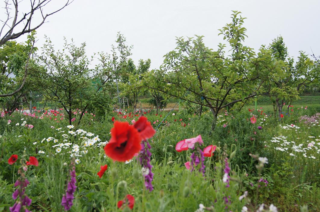 ����ũ��� ����