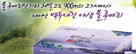 ����ũ��� ����